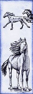 http://i1330.photobucket.com/albums/w562/MagicEyes-Art/Scrapling%202014/Scr--32-2014-g_zpsb6196326.jpg