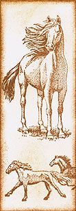 http://i1330.photobucket.com/albums/w562/MagicEyes-Art/Scrapling%202014/Scr--33-2014-g_zpsf637922e.jpg
