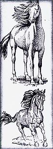 http://i1330.photobucket.com/albums/w562/MagicEyes-Art/Scrapling%202014/Scr--45-2014-g_zps7c8a2d60.jpg