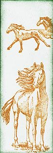 http://i1330.photobucket.com/albums/w562/MagicEyes-Art/Scrapling%202014/Scr--50-2014-g_zps89519fdb.jpg