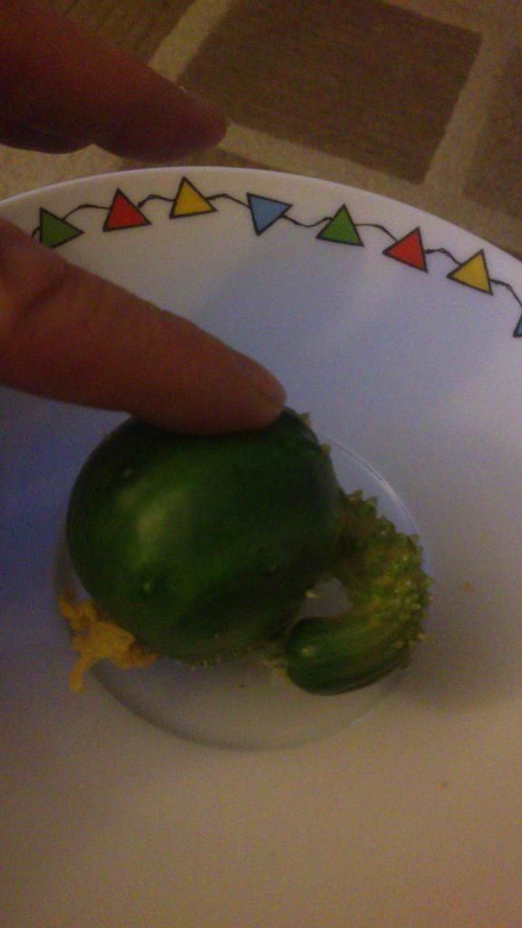 cucumber_zps4f26ba4b.jpg