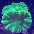 photo june2015potmdMarina1_zpsox8gjoj2.jpg