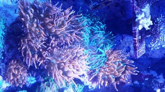 photo june2015potmhardzip1_zps288ze4xk.jpg