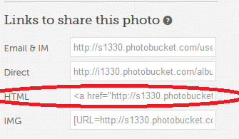 photo LinksTutorial_zps6019927c.png
