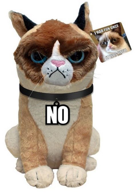 cat meme plush