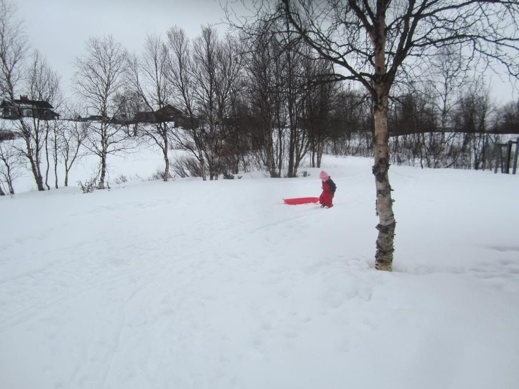 photo IMG_3991_zps4155b5d4.jpg