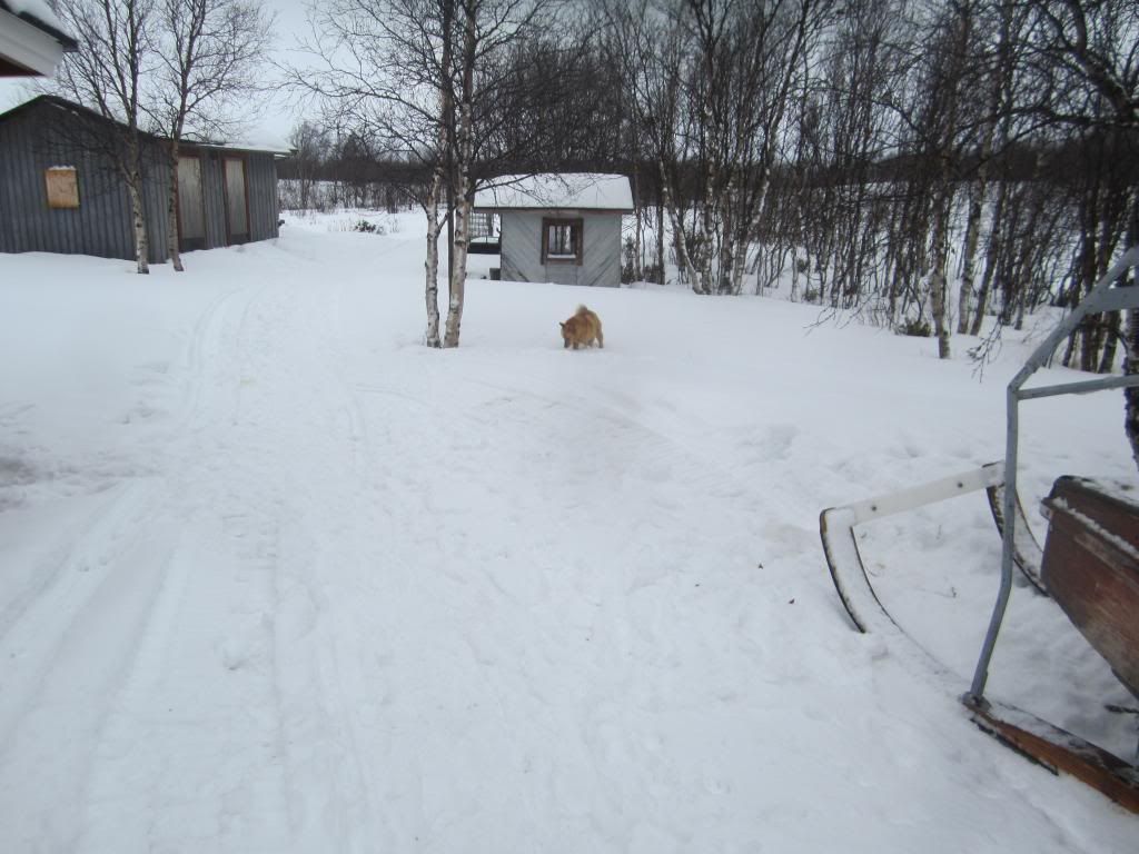 Sekavahko postaus viikonlopusta