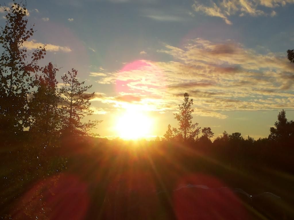 photo 20140629_001452_zps423d765a.jpg