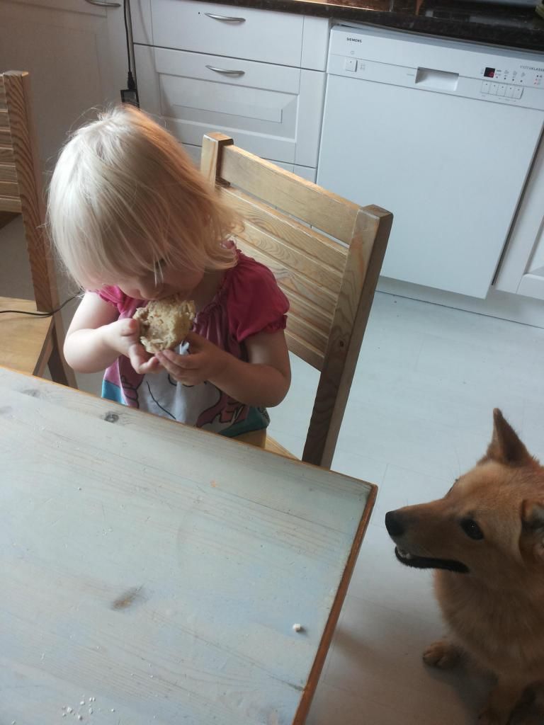 photo 20140728_183245_zps69f2a3da.jpg