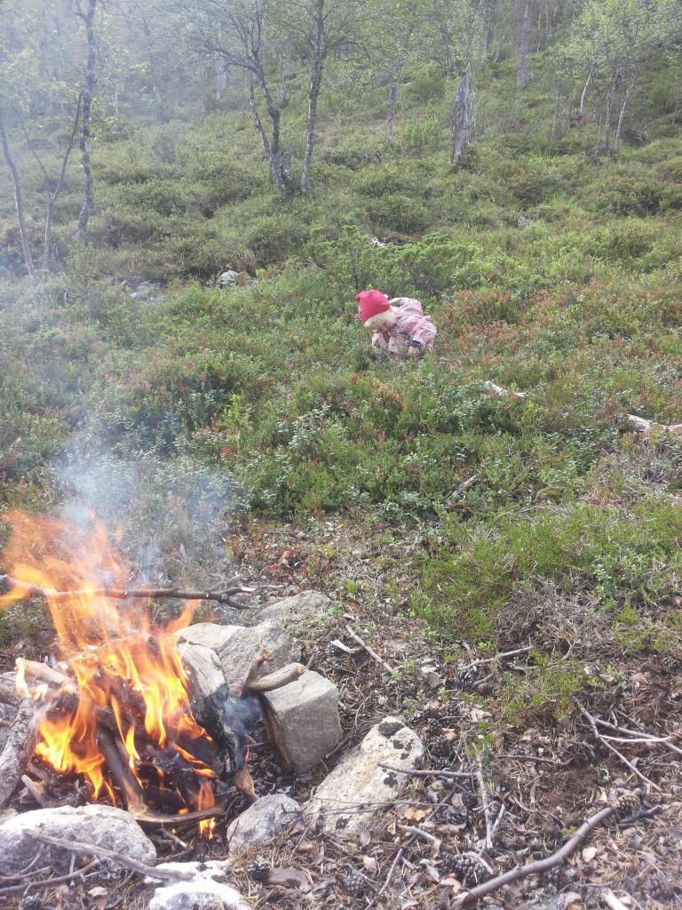 photo 20140816_123927_zpsb45f260b.jpg