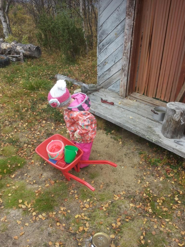 photo 20140920_122012_zps21a116d5.jpg