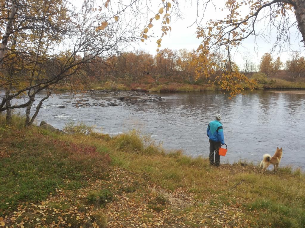 photo 20140920_123134_zps8779150d.jpg