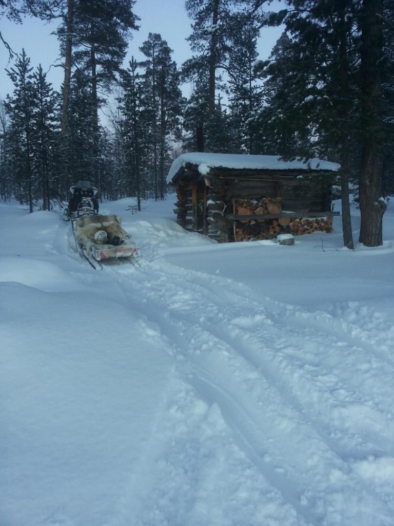 photo 20150118_141220_zpsc4c8d11c.jpg
