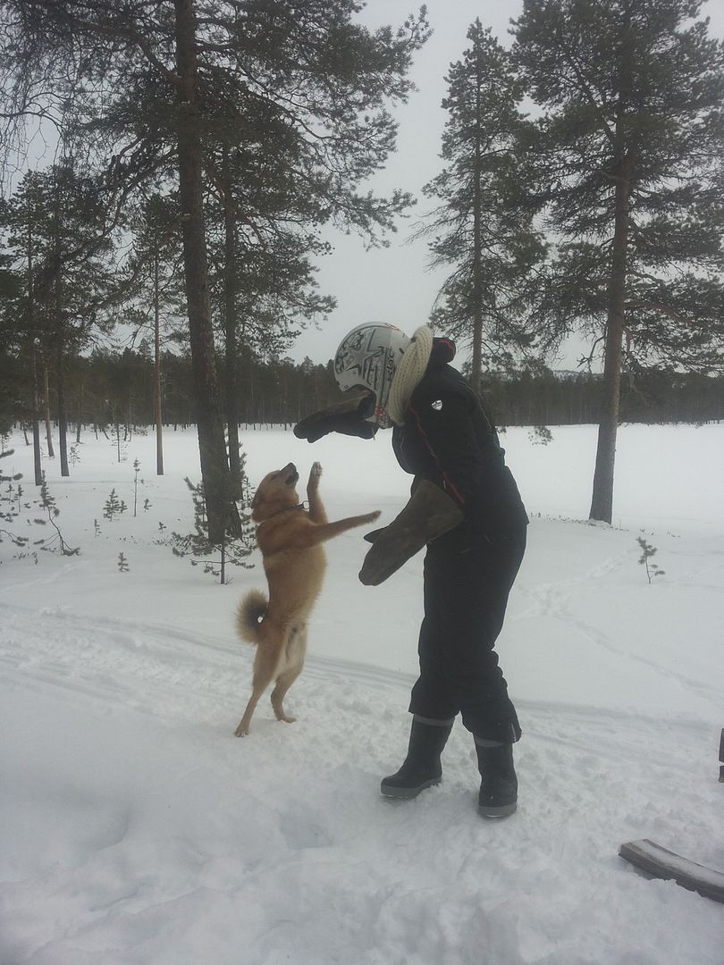Päivän asu