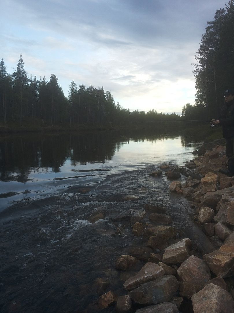 photo 20150618_213027_zpsxvilu2l6.jpg