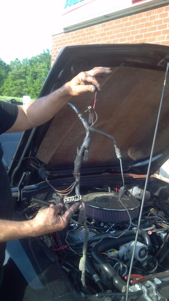 1985 5.0 wiring Harness Issue - MustangForums.com