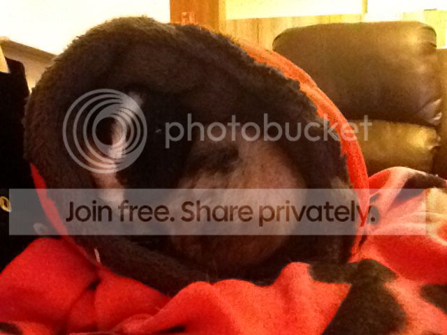 a4a68547b4eba2e11f60cc22411a4451_zps2e417aba.jpg