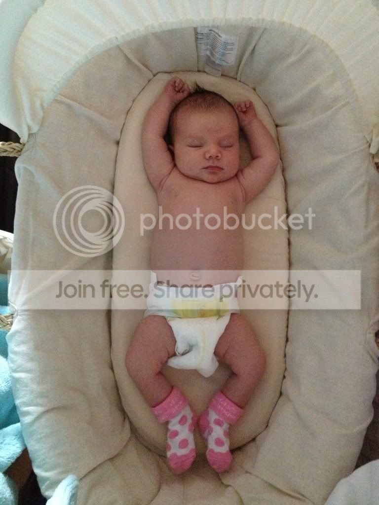 baby outgrown moses basket